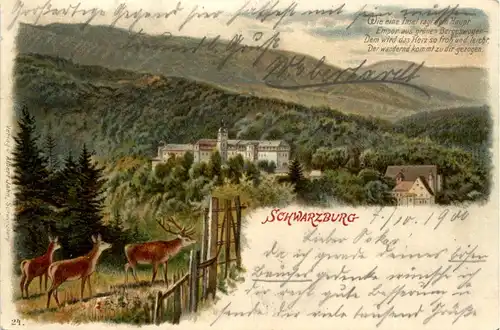 Schwarzburg - Litho -413494