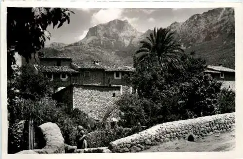 Olivio Soller -413428