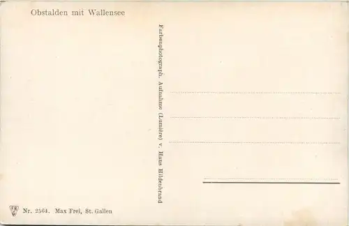 Obstalden mit Wallensee -412408