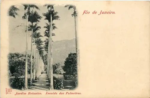 Rio de Janeiro 1899 - Jardin Botanico -413346