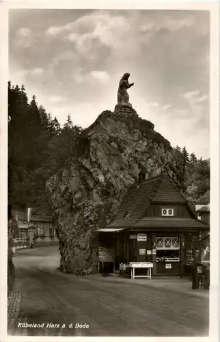 Rübeland Harz -41460