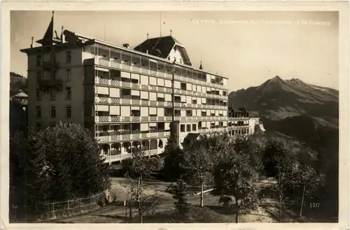 Leysin -415576