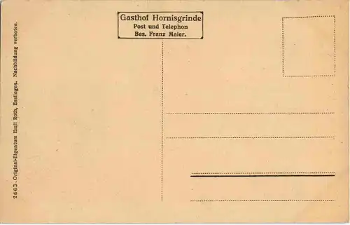 Hornisgrinde - Alter Aussichtsturm -41624