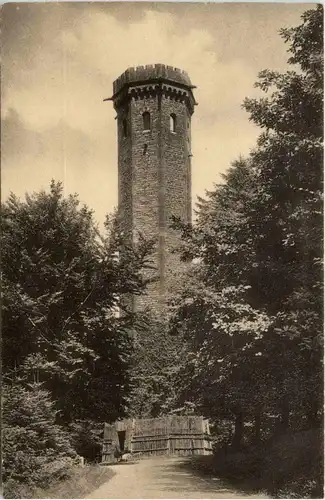 Heidelberg - Der Königstuhl -416084