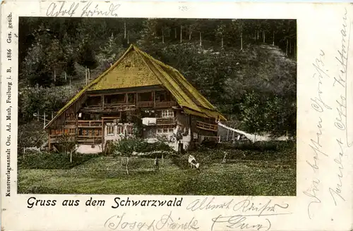 Gruss aus dem Schwarzwald -416482