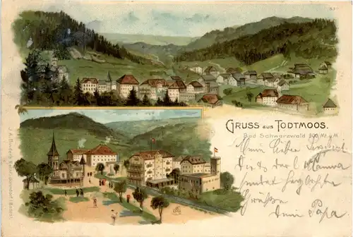 Gruss aus Todtmoos - Litho -416538