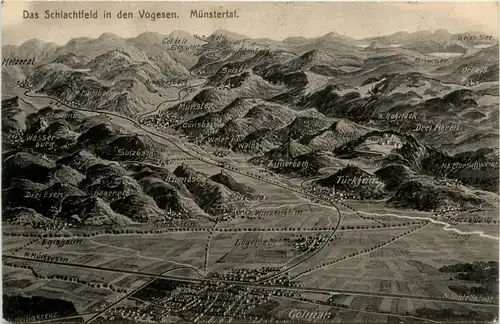 Münstertal - Schlachtfeld -416404