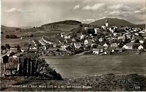 Lam im bayr. Wald -41682