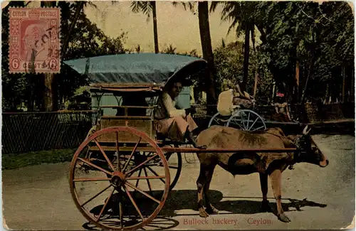 Ceylon - Bullock hackeryers -417752