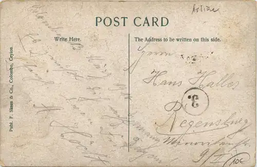 Ceylon - Bullock hackeryers -417752