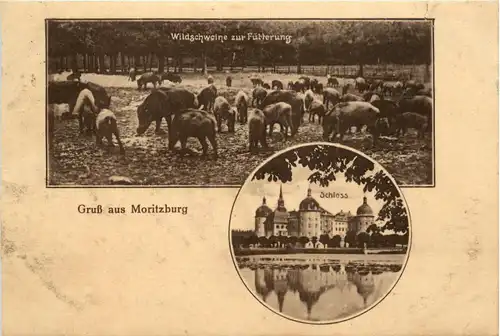 Gruss aus Moritzburg -417338