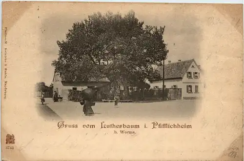 Gruss vom Lutherbaum in Pfifflichheim bei Worms -417348