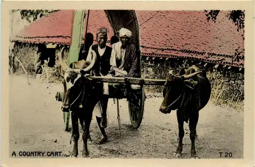 A Country Cart - India -417972