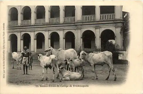 Jeunes Eleves du College de Trichimopolis -418026