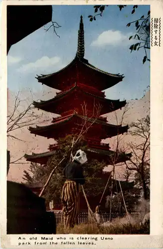 Old Maid cleaning Ueno park -417742