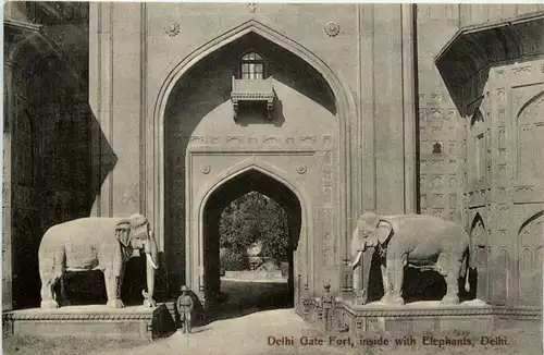 Delhi Gate Fort -417602