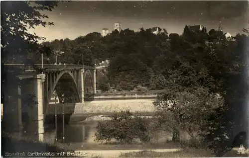 Isartal Grünwald mit Brücke -41764