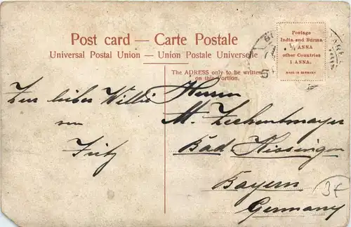 A Bombay Reckla -417948