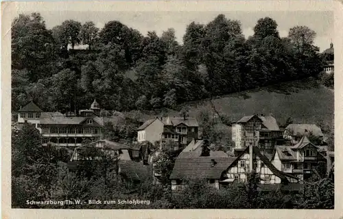 Schwarzburg in Thüringen - Blick zum Schlossberg -41820