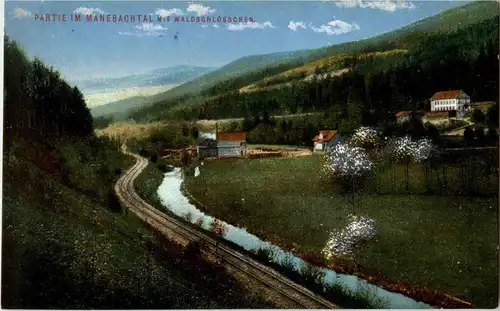 Partie im Manebachtal mit Waldschlösschen -41870