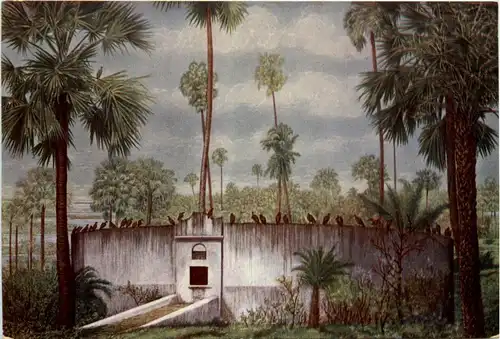 Bombay - Parsi tower -418348