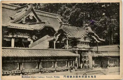 Karamon Toshogu Temple - Nikko -417822