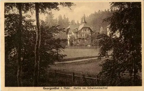 Georgenthal in Thüringen- Partie im Schwimmbachtal -41860