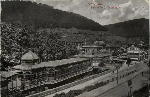 Wildbad - Partie bei der Trinkhalle -418996