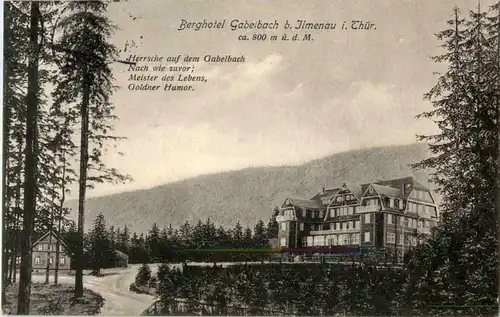 Berghotel Gabelbach bei Ilmenau -42112