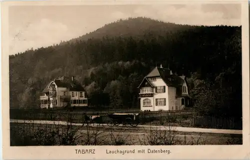 Tabarz - Lauchagrund mit Datenberg -42226