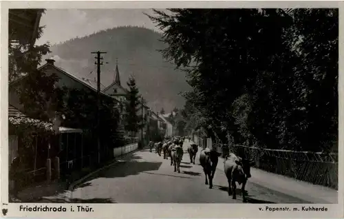 Friedrichroda - Papenstrasse mit Kuhherde -42076