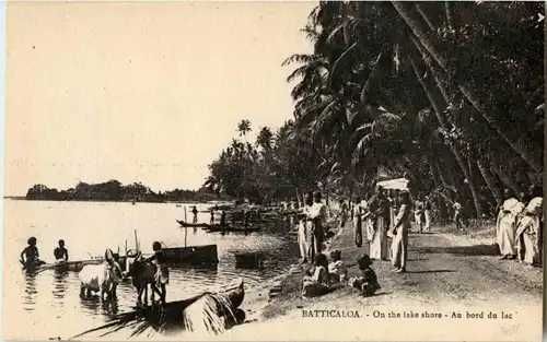 Batticaloa - On the lake shore -42666