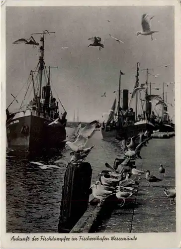 Bremerhaven - Fischereihafen -421974