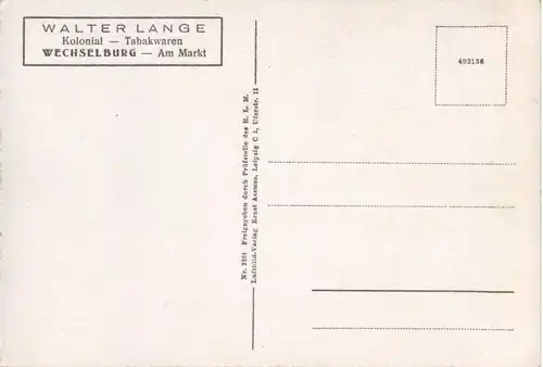 Wechselburg-Muldental - Fliegeraufnahme -42488