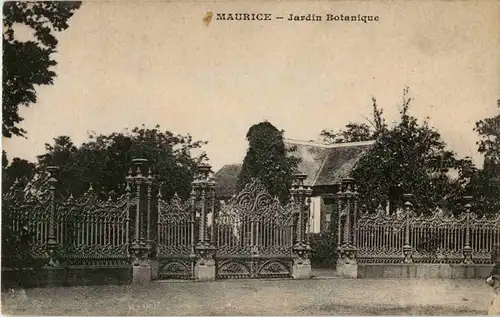 Maurice - - Jardin Botanique -42966