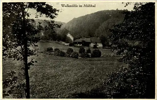 Eisenberg - Walkmühle im Mühltal -42184
