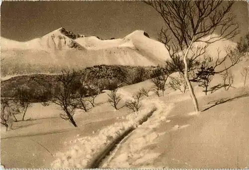 Norwegischer Medizinal Lebertran Werbung -43320