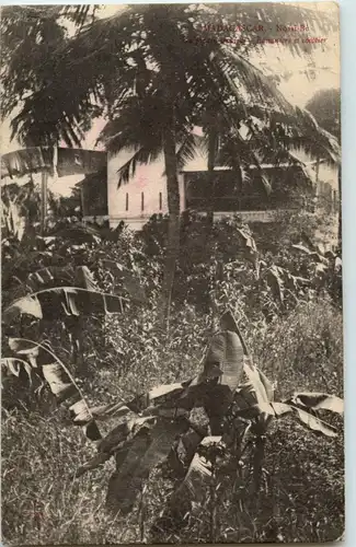 Madagascar - Nossi-Be -42650