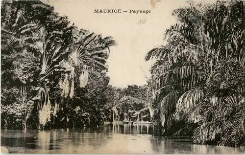 Maurice - Paysage -42968