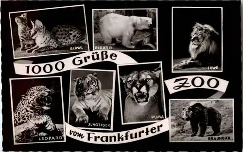 Grüsse aus dem Frankfurter Zoo -42442