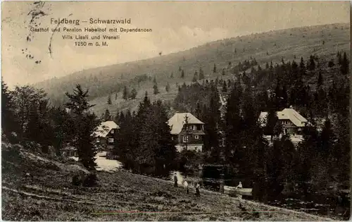 Feldberg - Schwarzwald - Gasthof Hebelhof -44080