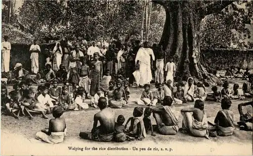 Waipin for the rice distribution -42662