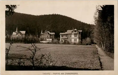 Tabarz - Partie am Zimmerberg -42224