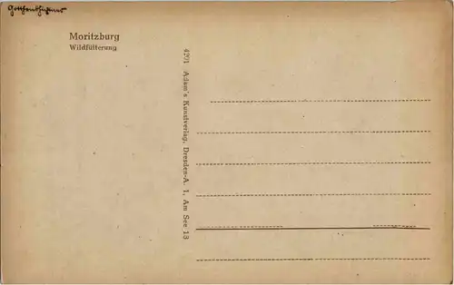 Moritzburg - Wildfütterung -42444