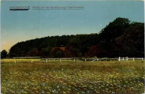 Hasbruch - Partie an der Oberförsterei -421814