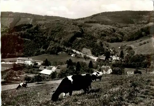 Eiterbach Odenwald -43422