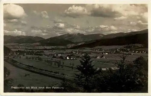 Dreisamtal mit Blick nach Feldberg -44416