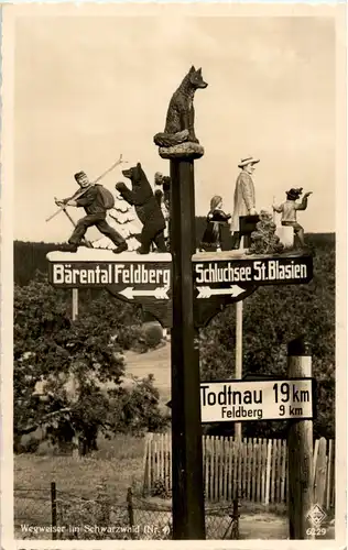 Bärental Feldberg - Schluchsee St. Blasien -44766