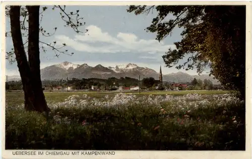 Übersee im Chiemgau -44004