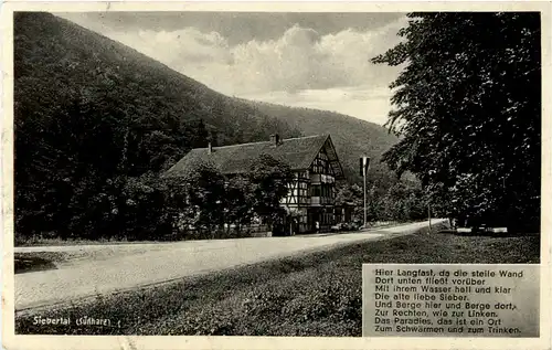 Wald-Hotel zum Paradies - Siebertal - Südharz -44758